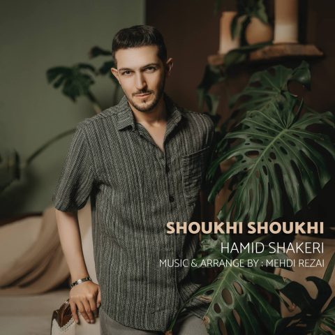 دانلود آهنگ حمید شاکری شوخی شوخی دانلود آهنگ حمید شاکری شوخی شوخی